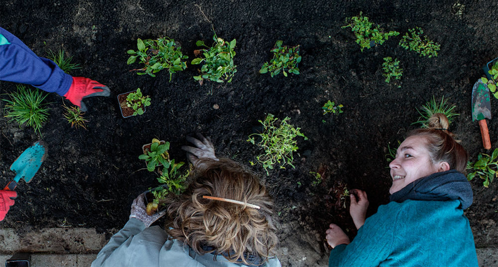 Header foto van tijdens pilot van stadsmakers: Ziet twee teamgenoten van het Tuinderteam van bovenaf werken aan een voortuin, waarbij links nog handen met rode handschoenen te zien zijn die mee aan het helpen is.